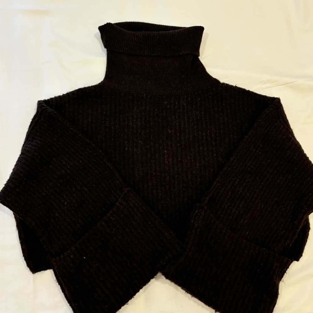 Cropper Turtle Neck Sweater
